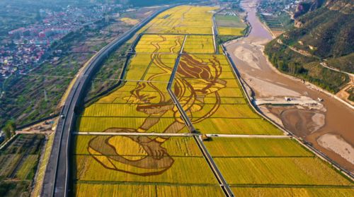 政府工作報(bào)告解讀 旅游景點(diǎn)建設(shè)與運(yùn)營的創(chuàng)新路徑與發(fā)展趨勢